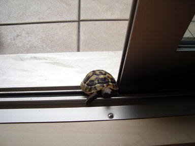 お?
