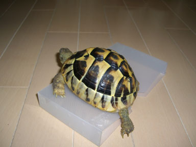 方向転換