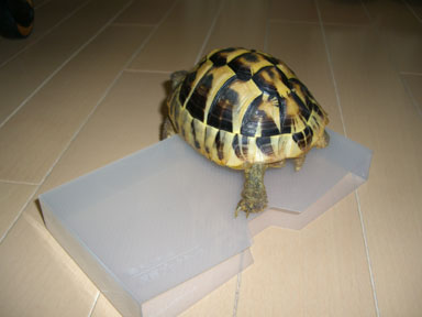 降りる