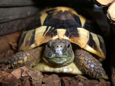 カルシウムの粉が付いて鼻が真っ白