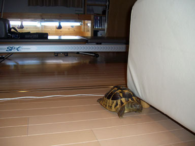 出せというので出したが…