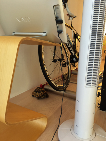 Zwiftの準備中にお邪魔