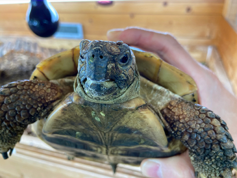 カット後 正面から カット後 正面から
