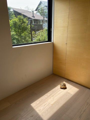 屋内で日向ぼっこ 屋内で日向ぼっこ