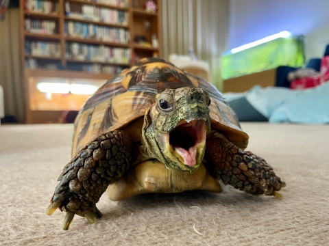こっち向きでもう一発 こっち向きでもう一発