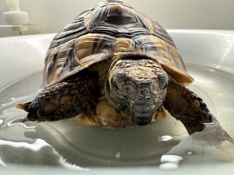 気持ち良いか? 気持ち良いか?