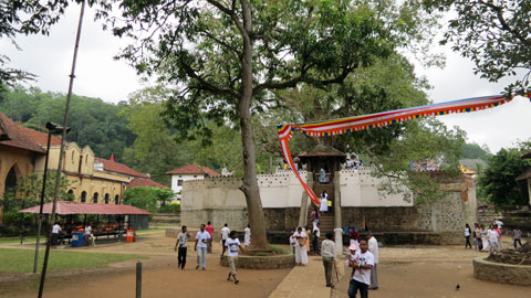 仏歯寺の敷地内へと入る