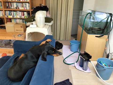 そらみが見守る