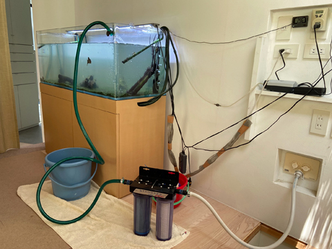 水道水が既に適温を超えている… 水道水が既に適温を超えている…