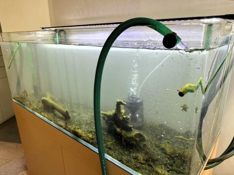 水道水の温度が水槽の中の水の温度を超えている 水道水の温度が水槽の中の水の温度を超えている
