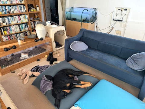 新水注入中 新水注入中