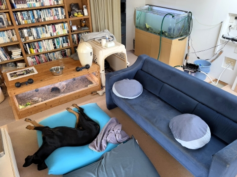 新水注入中 新水注入中