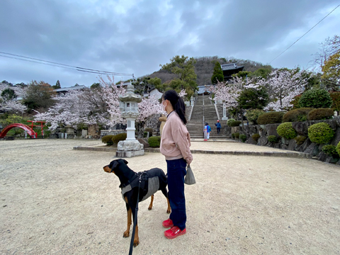 神呪寺に下りてきた 神呪寺に下りてきた
