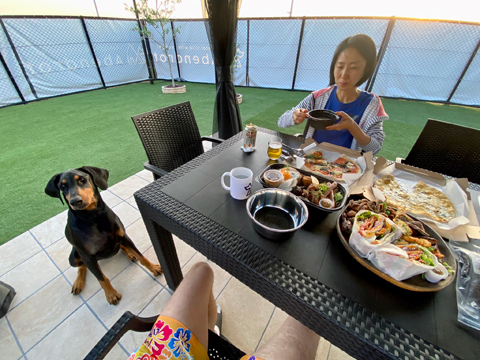 私の前には犬用食器 私の前には犬用食器