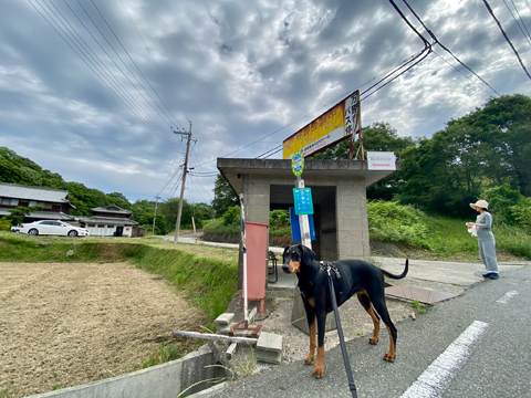 何とも味のあるバス停 何とも味のあるバス停