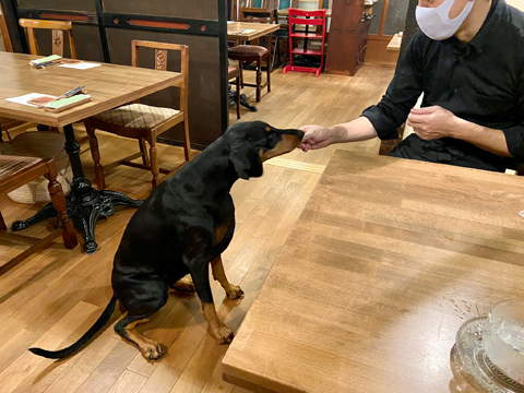 Kさんに餌付けされる Kさんに餌付けされる