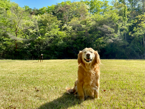 楽しかったね〜 楽しかったね〜