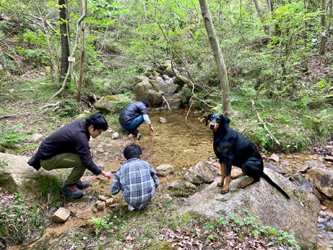 川遊びを見守る空水 川遊びを見守る空水