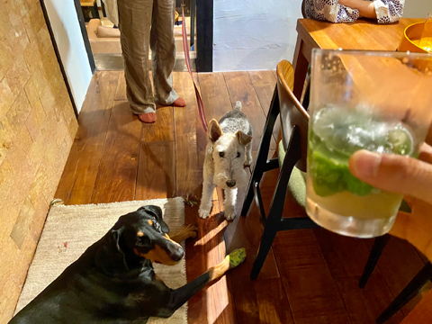 ノンアルコールのモヒートで乾杯 ノンアルコールのモヒートで乾杯