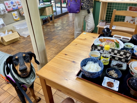 食事も屋内でできる 食事も屋内でできる
