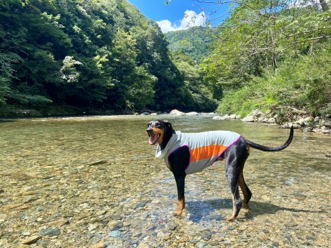 最高の川遊び日和 最高の川遊び日和