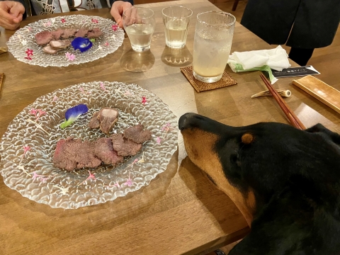 鹿のロースにかぶりつき 鹿のロースにかぶりつき