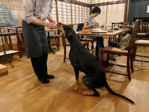 餌付け 餌付け