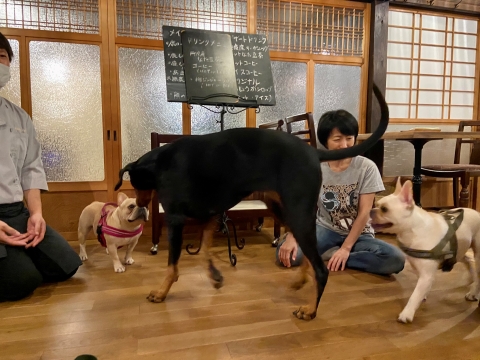 こたつといちごが来てくれた こたつといちごが来てくれた