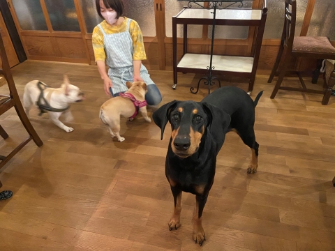お姉さんぶりを見せつける お姉さんぶりを見せつける