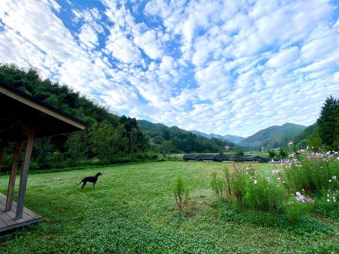 早朝はすっかり秋の空 早朝はすっかり秋の空