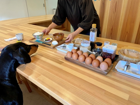 お茶碗を自分で選んだり食べる前から演出がばっちり効いている お茶碗を自分で選んだり食べる前から演出がばっちり効いている