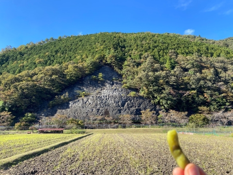 盛郷エイド前の山をいつまでも眺めていられる 盛郷エイド前の山をいつまでも眺めていられる