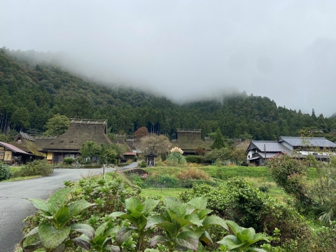 かやぶき屋根の集落を望む かやぶき屋根の集落を望む