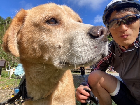 田歌舎にいた犬のうちの1頭 田歌舎にいた犬のうちの1頭