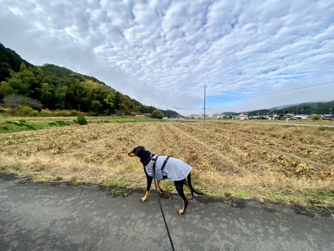 山には雲がかかる 山には雲がかかる
