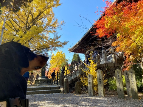 大講堂前で母ちゃんを待つ 大講堂前で母ちゃんを待つ