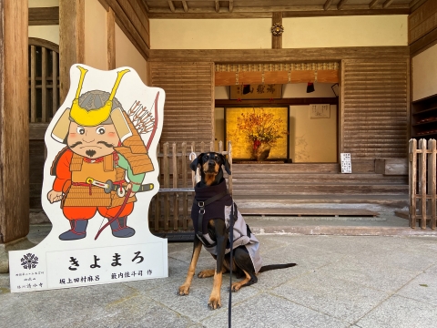 きよまろと きよまろと