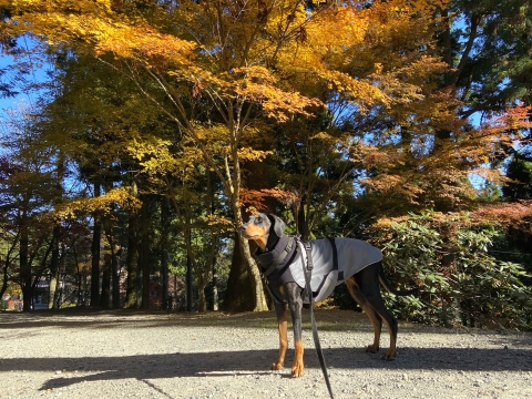 空を見上げて何思う 空を見上げて何思う