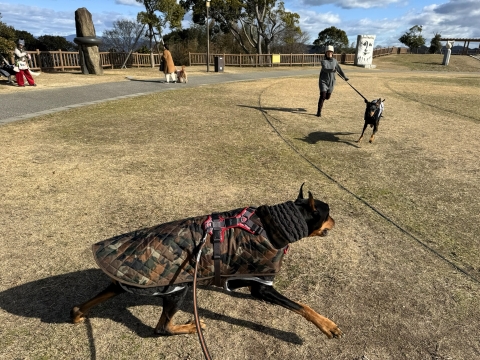 皆で公園を歩く 皆で公園を歩く