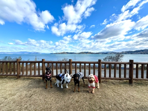 海の向こうには小豆島 海の向こうには小豆島