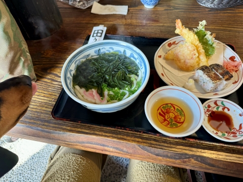 焼き鯖寿し定食 焼き鯖寿し定食