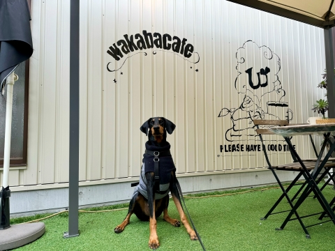 ワカバカフェのテラス席で ワカバカフェのテラス席で