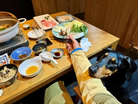 あご乗っけ あご乗っけ