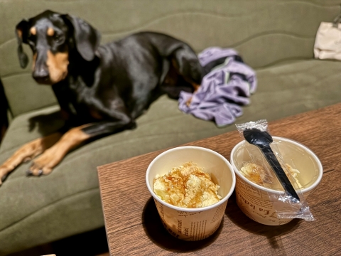 自家製ヴァニラアイスは部屋で 自家製ヴァニラアイスは部屋で