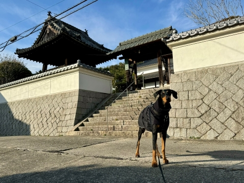 宿から西に行くと寺があった 宿から西に行くと寺があった