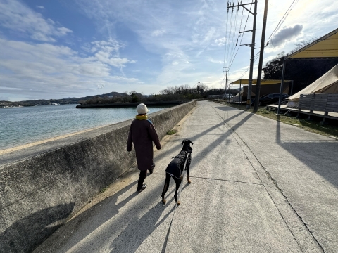 キャンプ場前の海沿いを歩く キャンプ場前の海沿いを歩く