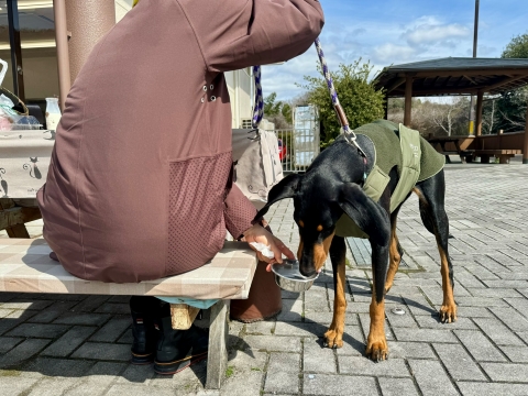 瀬戸PAで蒜山ジャージー牛乳を飲んで一休み 瀬戸PAで蒜山ジャージー牛乳を飲んで一休み