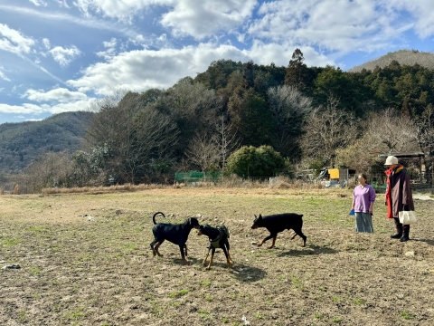 アールもやってきた アールもやってきた