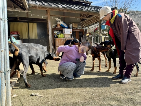 調子が出てきた 調子が出てきた