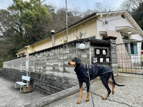 島に一つの診療所 島に一つの診療所